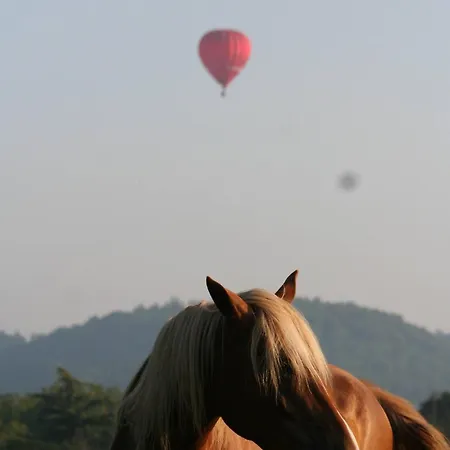 Centre Equestre Du Passe Temps *