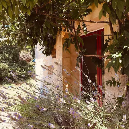 Centre Equestre Du Passe Temps * Dégagnac