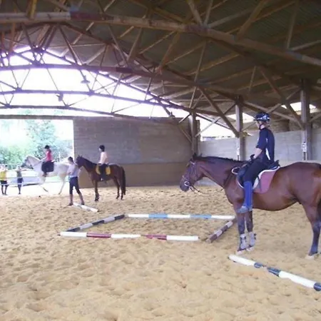Centre Equestre Du Passe Temps * Dégagnac