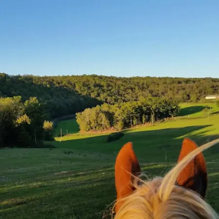 Centre Equestre Du Passe Temps * Dégagnac