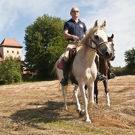 Centre Equestre Du Passe Temps * Dégagnac