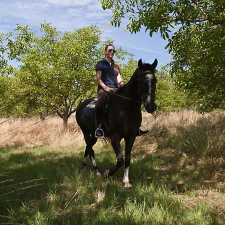 Centre Equestre Du Passe Temps 빌라 *