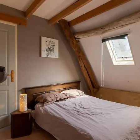 Centre Equestre Du Passe Temps * Dégagnac